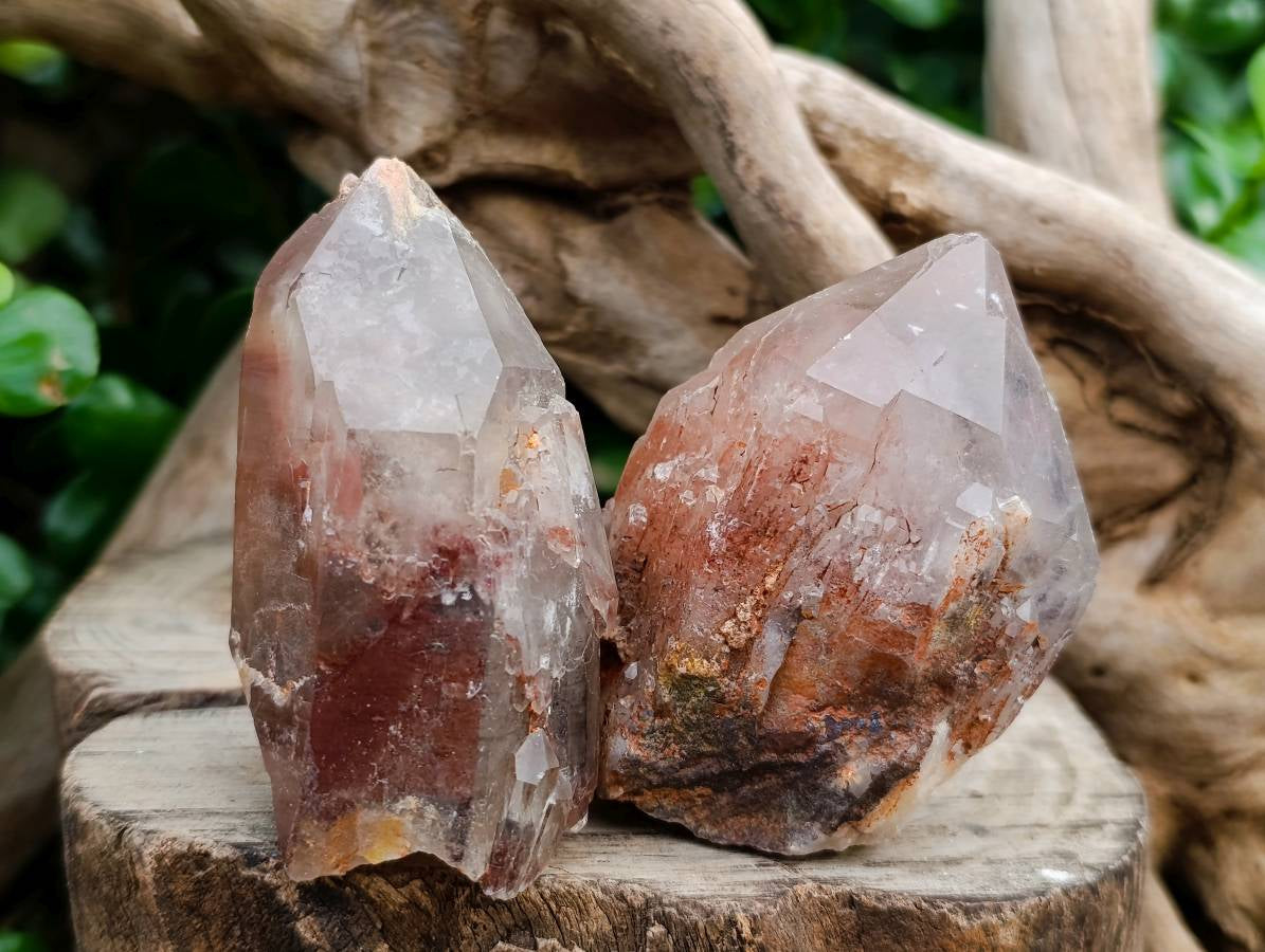 Natural Red Phantom Hematoid Quartz Crystals x 12 From Karoi, Zimbabwe - Toprock Gemstones and Minerals 