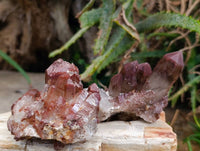 Natural Red Phantom Hematoid Quartz Crystals x 12 From Karoi, Zimbabwe
