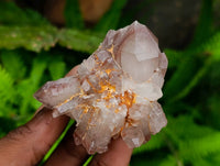 Natural Red Phantom Hematoid Quartz Crystals x 12 From Karoi, Zimbabwe