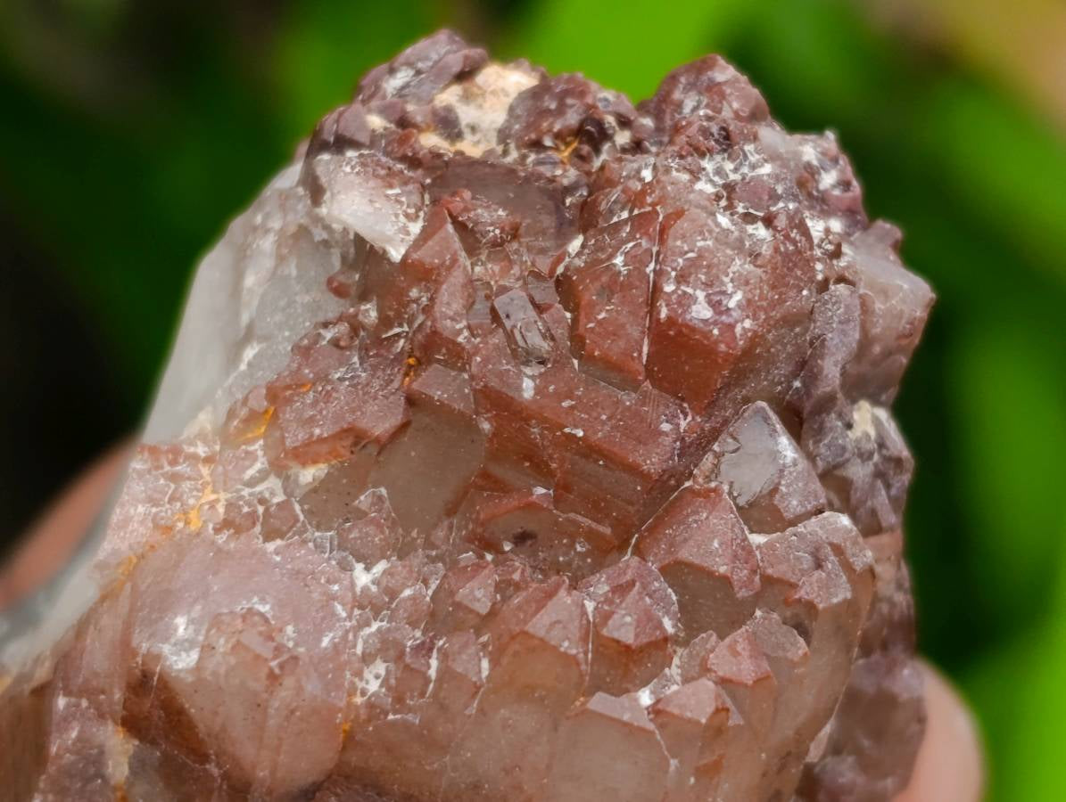 Natural Red Phantom Hematoid Quartz Crystals x 12 From Karoi, Zimbabwe - Toprock Gemstones and Minerals 
