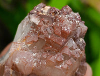 Natural Red Phantom Hematoid Quartz Crystals x 12 From Karoi, Zimbabwe