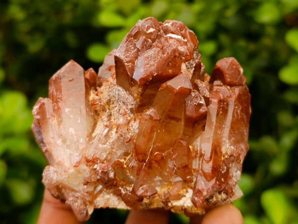 Natural Red Phantom Hematoid Quartz Crystals x 12 From Karoi, Zimbabwe - Toprock Gemstones and Minerals 