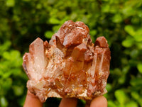 Natural Red Phantom Hematoid Quartz Crystals x 12 From Karoi, Zimbabwe