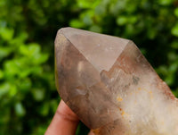 Natural Red Phantom Hematoid Quartz Crystals x 12 From Karoi, Zimbabwe