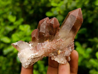 Natural Red Phantom Hematoid Quartz Crystals x 12 From Karoi, Zimbabwe