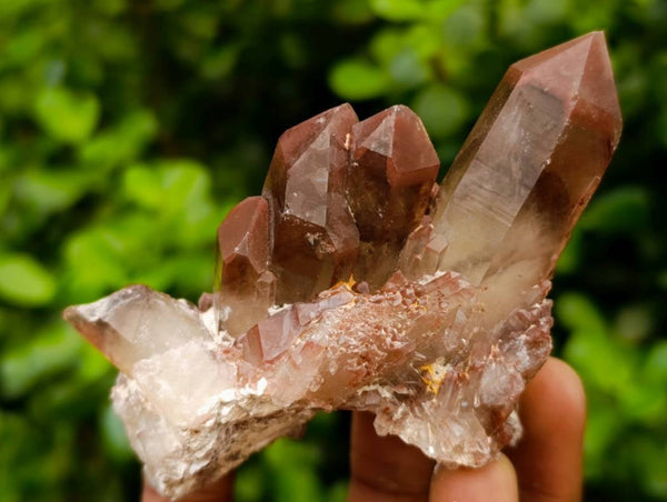 Natural Red Phantom Hematoid Quartz Crystals x 12 From Karoi, Zimbabwe
