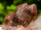 Natural Red Phantom Hematoid Quartz Crystals x 12 From Karoi, Zimbabwe - Toprock Gemstones and Minerals 