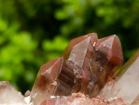 Natural Red Phantom Hematoid Quartz Crystals x 12 From Karoi, Zimbabwe