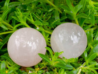 Polished Small Star Rose Quartz Spheres x 22 From Madagascar
