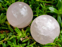 Polished Small Star Rose Quartz Spheres x 22 From Madagascar