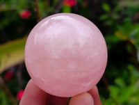 Polished Small Star Rose Quartz Spheres x 22 From Madagascar
