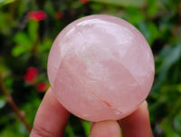 Polished Small Star Rose Quartz Spheres x 22 From Madagascar