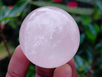 Polished Small Star Rose Quartz Spheres x 22 From Madagascar