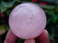 Polished Small Star Rose Quartz Spheres x 22 From Madagascar