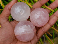 Polished Small Star Rose Quartz Spheres x 22 From Madagascar