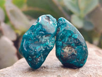 Polished Dioptase Free Forms x 26 From Likasi, Congo