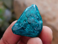 Polished Dioptase Free Forms x 26 From Likasi, Congo