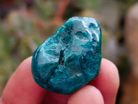 Polished Dioptase Free Forms x 26 From Likasi, Congo
