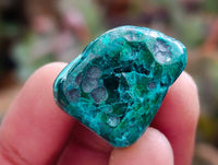Polished Dioptase Free Forms x 26 From Likasi, Congo