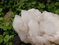 Natural Pineapple Candle Quartz Cluster x 1 From Antsirabe, Madagascar
