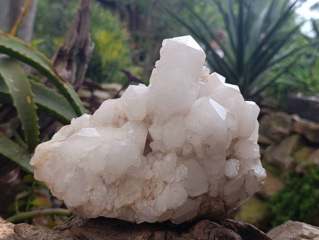 Natural Pineapple Candle Quartz Cluster x 1 From Antsirabe, Madagascar - Toprock Gemstones and Minerals 
