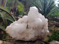 Natural Pineapple Candle Quartz Cluster x 1 From Antsirabe, Madagascar