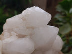 Natural Pineapple Candle Quartz Cluster x 1 From Antsirabe, Madagascar - Toprock Gemstones and Minerals 