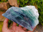 Polished On One Side Watermelon Fluorite Slices x 2 From Uis, Namibia - Toprock Gemstones and Minerals 