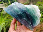 Polished On One Side Watermelon Fluorite Slices x 2 From Uis, Namibia - Toprock Gemstones and Minerals 