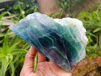 Polished On One Side Watermelon Fluorite Slices x 2 From Uis, Namibia