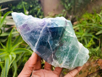 Polished On One Side Watermelon Fluorite Slices x 2 From Uis, Namibia
