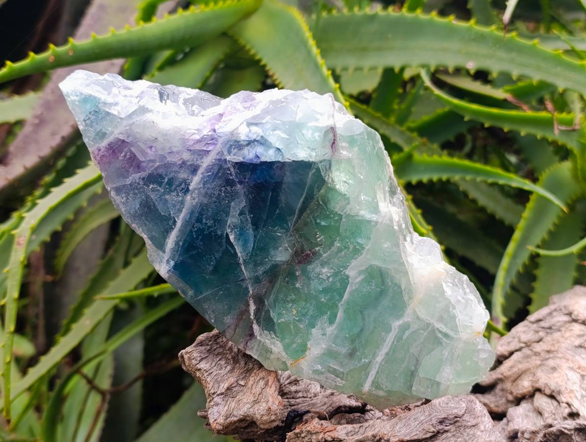 Polished On One Side Watermelon Fluorite Slices x 2 From Uis, Namibia - Toprock Gemstones and Minerals 