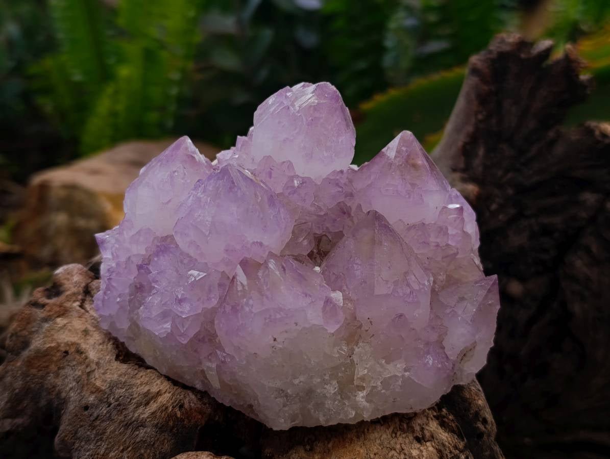 Natural Sunburst Amethyst Spirit Quartz Clusters x 3 From Boekenhouthoek, South Africa - Toprock Gemstones and Minerals 