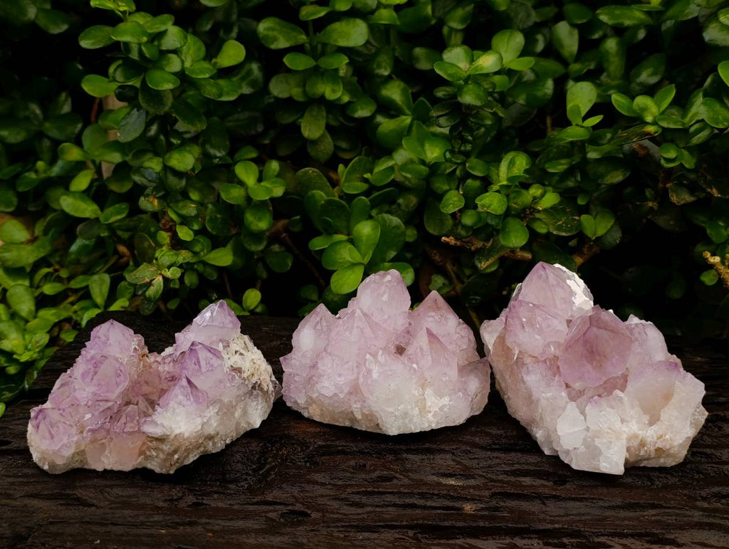 Natural Sunburst Amethyst Spirit Quartz Clusters x 3 From Boekenhouthoek, South Africa - Toprock Gemstones and Minerals 