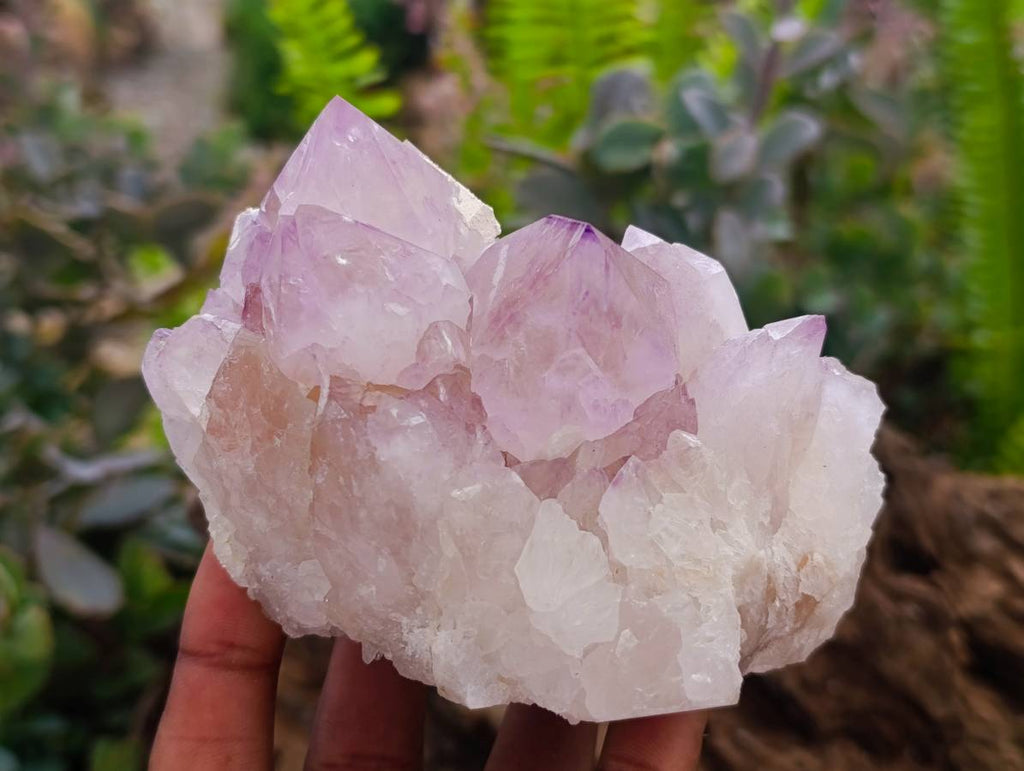 Natural Sunburst Amethyst Spirit Quartz Clusters x 3 From Boekenhouthoek, South Africa - Toprock Gemstones and Minerals 