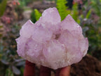 Natural Sunburst Amethyst Spirit Quartz Clusters x 3 From Boekenhouthoek, South Africa - Toprock Gemstones and Minerals 