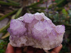 Natural Sunburst Amethyst Spirit Quartz Clusters x 3 From Boekenhouthoek, South Africa - Toprock Gemstones and Minerals 