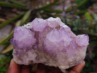 Natural Sunburst Amethyst Spirit Quartz Clusters x 3 From Boekenhouthoek, South Africa