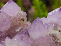 Natural Sunburst Amethyst Spirit Quartz Clusters x 3 From Boekenhouthoek, South Africa
