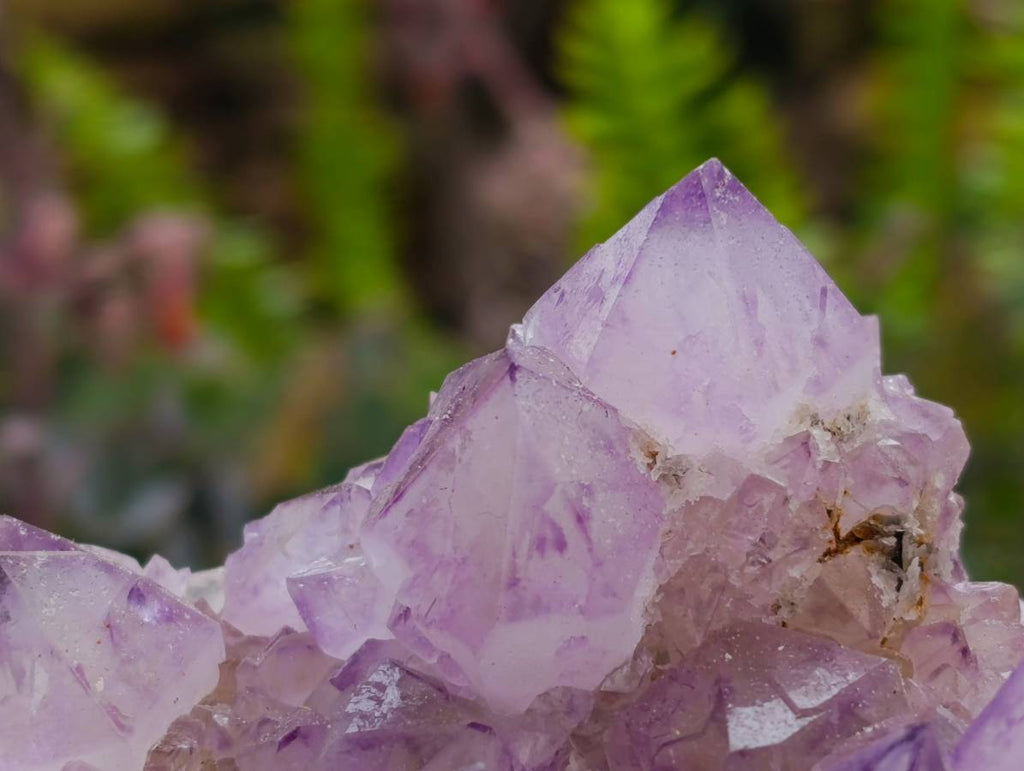 Natural Sunburst Amethyst Spirit Quartz Clusters x 3 From Boekenhouthoek, South Africa - Toprock Gemstones and Minerals 