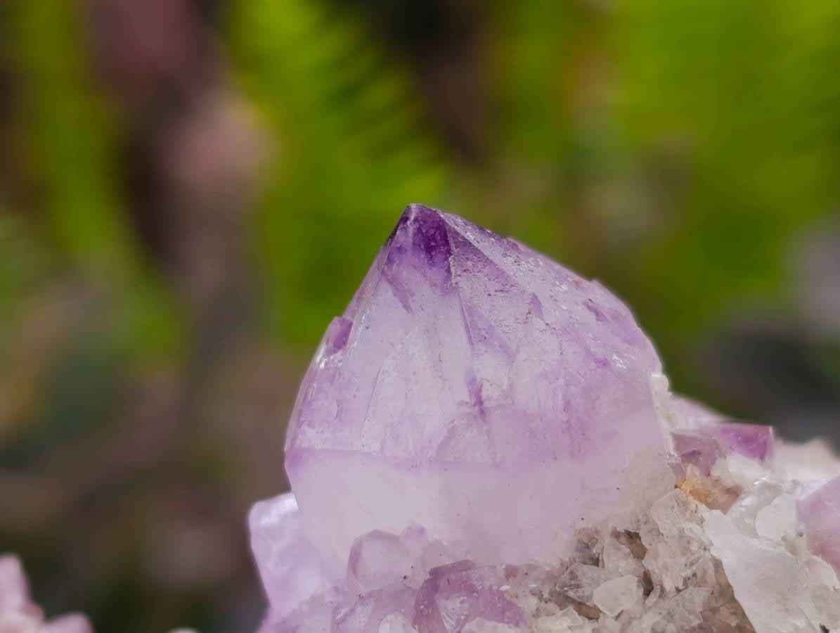 Natural Sunburst Amethyst Spirit Quartz Clusters x 3 From Boekenhouthoek, South Africa - Toprock Gemstones and Minerals 