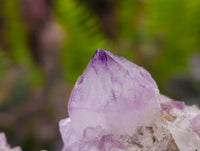 Natural Sunburst Amethyst Spirit Quartz Clusters x 3 From Boekenhouthoek, South Africa