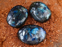 Polished Labradorite Galets x 20 From Tulear, Madagascar