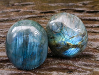 Polished Labradorite Galets x 20 From Tulear, Madagascar