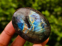 Polished Labradorite Galets x 20 From Tulear, Madagascar