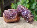 Natural Amethystos Amethyst Clusters x 35 From Kwaggafontein, South Africa - Toprock Gemstones and Minerals 