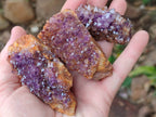 Natural Amethystos Amethyst Clusters x 35 From Kwaggafontein, South Africa - Toprock Gemstones and Minerals 