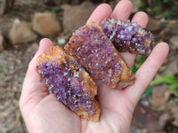 Natural Amethystos Amethyst Clusters x 35 From Kwaggafontein, South Africa