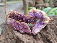 Natural Amethystos Amethyst Clusters x 35 From Kwaggafontein, South Africa