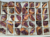 Natural Amethystos Amethyst Clusters x 35 From Kwaggafontein, South Africa